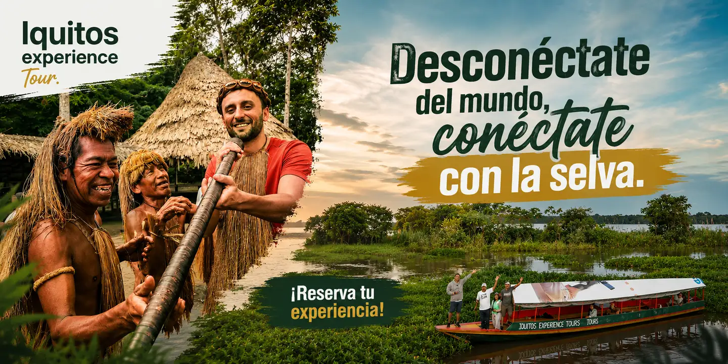 Medio año IET